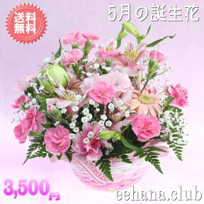 5月の誕生花★ピンクアレンジ3,500円【送料無料】花言葉カード付き【カーネーション】【四つ葉メッセージボトル選択可】【花言葉カード付き】【楽ギフ_包装】【楽ギフ_メッセ】【楽ギフ_メッセ入力】【あす楽対応】