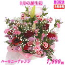 9月の誕生花★ハーモニーアレンジ7,000円【送料無料】ネット特価!【楽ギフ_包装】【楽ギフ_メッセ】【楽ギフ_メッセ入力】【あす楽対応】