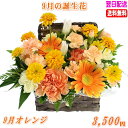 9月の誕生花★りんどうオレンジアレンジ3,500円【送料無料】ネット特価!【楽ギフ_包装】【楽ギフ_メッセ】【楽ギフ_メッセ入力】【あす楽対応】