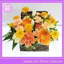 9月の誕生花★りんどうオレンジアレンジ3,500円【送料無料】ネット特価!【楽ギフ_包装】【楽ギフ_メッセ】【楽ギフ_メッセ入力】【あす楽対応】10P01Sep13