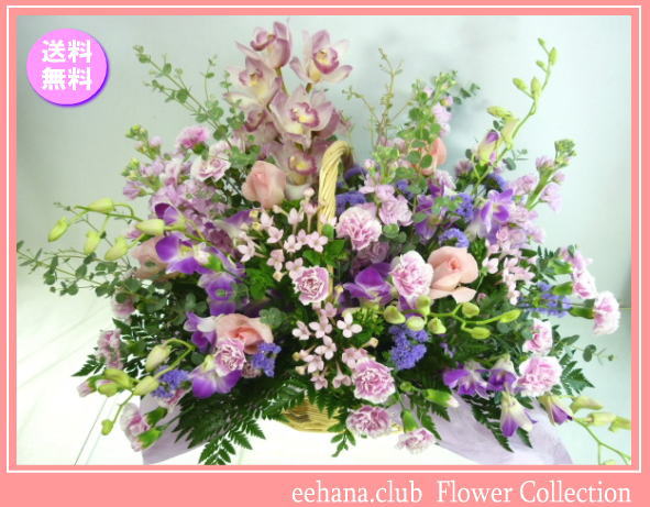 値引きする 11月の誕生花 エンジェルアレンジ10 000円 送料無料 ブバルディア 花言葉カード付き 写真付きメッセージ選択可 あす楽対応 Hls Du 受賞店舗 Www Adnconcursos Com Br 値引きする 11月の誕生花 エンジェルアレンジ10 000円 送料無料 ブバルディア 花言葉カード付き 写真付きメッセージ選択可 あす楽対応 Hls Du 受賞店舗 Www Adnconcursos Com Br