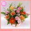 11月の誕生花★カラフルアレンジ3,500円【送料無料】【ブバルディア】花言葉カード付き【写真付きメッセージ選択可】【あす楽対応】!!【あす楽対応】
