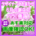 6月の誕生花★デザイナーにおまかせフラワー20,000円【送料無料】【フラワーアレンジ・花束】【写真付きカード選択可】ネット特価!!【楽ギフ_包装】【楽ギフ_メ...