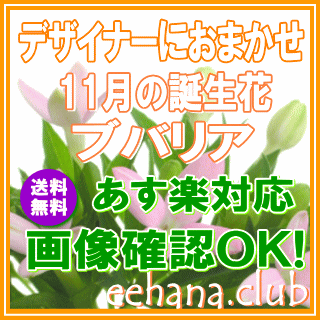 11月の誕生花【ブバリア】デザイナーにおまかせフラワー★5,000円【送料無料】【フラワーアレンジ・花束】【写真付き…