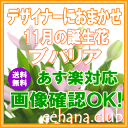 11月の誕生花【ブバリア】デザイナーにおまかせフラワー★3,500円【送料無料】【フラワーアレンジ 花束】【写真付きカード選択可】ネット特価！！【あす楽対応】【HLS_DU】