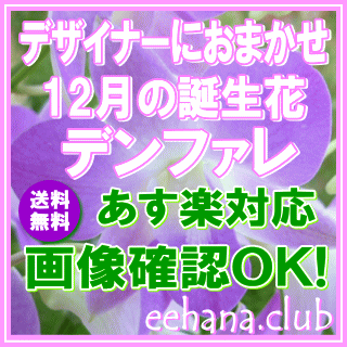 12月の誕生花【デンファレ】デザイナーにおまかせフラワー★3,500円【送料無料】【フラワーアレンジ・花束】【写真付きカード選択可】ネット特価！！【楽ギフ_包装】【楽ギフ_メッセ】【楽ギフ_メッセ入力】【あす楽対応】【HLS_DU】