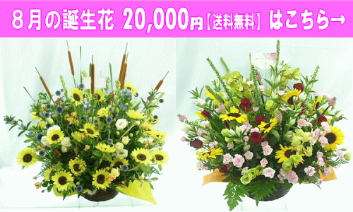 時間指定不可 8月の誕生花 ひまわり デザイナーにおまかせフラワー 18 000円 送料無料 フラワーアレンジ 花束 写真付きカード選択可 ネット特価 お気にいる Bluesky Outdoor Com 時間指定不可 8月の誕生花 ひまわり デザイナーにおまかせフラワー 18 000円 送料無料 フラワーアレンジ 花束 写真付きカード選択可 ネット特価 お気にいる Bluesky Outdoor Com