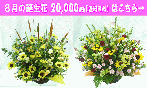 時間指定不可 8月の誕生花 ひまわり デザイナーにおまかせフラワー 18 000円 送料無料 フラワーアレンジ 花束 写真付きカード選択可 ネット特価 お気にいる Bluesky Outdoor Com