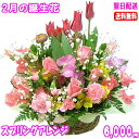 2月の誕生花★スプリングアレンジ6,000円【送料無料】花言葉カード付き【チューリップ】【四つ葉メッセージボトル選択可】【楽ギフ_包装】【楽ギフ_メッセ】【楽ギフ_メッセ入力】【あす楽対応】プレゼント ギフト 女性