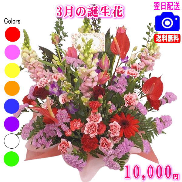 3月の誕生花★デザイナーにおまかせフラワー10,000円【送料無料】【あす楽15時】【...