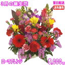 3月の誕生花★ローマアレンジ5,000円【送料無料】【あす楽15時】【品質保証★花】【花言葉カード付】【楽ギフ_包装】【楽ギフ_メッセ】【楽ギフ_メッセ入力】フ...