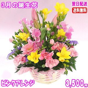 3月の誕生花★ピンクアレンジメント3,500円【送料無料】【あす楽15時】【品質保証★花】【花言葉カード付】【楽ギフ_包装】【楽ギフ_メッセ】【楽ギフ_メッセ入力】フリージア【翌日配達】プレゼント ギフト 女性 ナチュラル