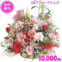 5月の誕生花★ファニーアレンジ10,000円【送料無料】花言葉カード付き【カーネーション】【四つ葉メッセージボトル選択可】【花言葉カード付き】【楽ギフ_包装】【...