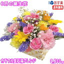 6月の誕生花★カラフル宝石箱アレンジメント花言葉付き3,500円【送料無料】【薔薇】【写真付きメッセージ選択可】【楽ギフ_包装】【楽ギフ_メッセ】【楽ギフ_メッ...