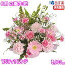 6月の誕生花★プリティアレンジ花言葉付き5,000円【送料無料】【薔薇】【写真付きメッセージ選択可】【楽ギフ_包装】【楽ギフ_メッセ】【楽ギフ_メッセ入力】【あ...