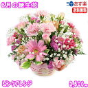 6月の誕生花★ピンクアレンジ花言葉付き3,500円【送料無料】【バラ】【写真付きメッセージ選択可】【楽ギフ_包装】【楽ギフ_メッセ】【楽ギフ_メッセ入力】【あす...