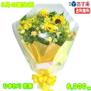 8月の誕生花★ひまわり花束6,000円【送料無料】ネット特価!【写真付きメッセージ選択可】【楽ギフ_包装】【楽ギフ_メッセ】【楽ギフ_メッセ入力】【あす楽対応】