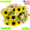 8月の誕生花★ひまわり花束3,800円【送料無料】【写真付きメッセージ選択可】【楽ギフ_包装】【楽ギフ_メッセ】【楽ギフ_メッセ入力】【あす楽対応】