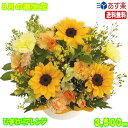 8月の誕生花★ひまわりアレンジ花言葉付き3,500円【送料無料】ネット特価!【写真付きメッセージ選択可】【楽ギフ_包装】【楽ギフ_メッセ】【楽ギフ_メッセ入力】...
