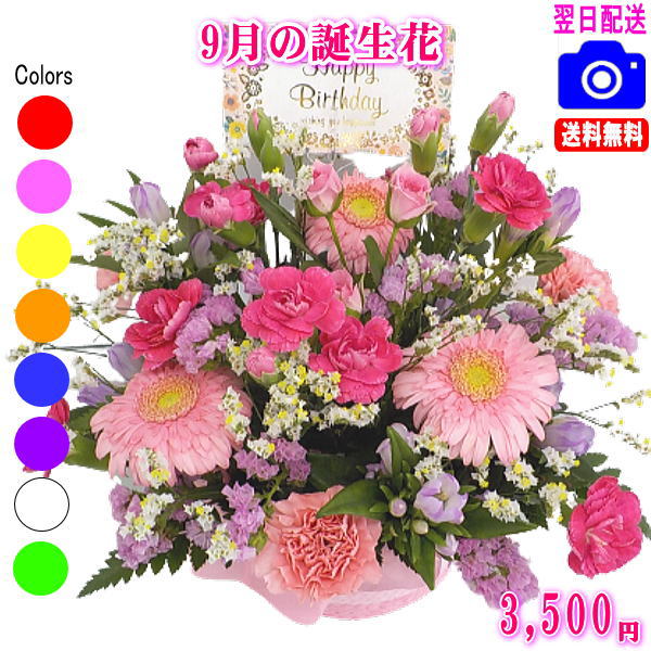 乐天商城 - 9月の誕生花【りんどう】デザイナーにおまかせフラワー★3,500円【送料無料】【フラワーアレンジ・花束】ネット特価！！【楽ギフ_包装】【楽ギフ_メッセ】【楽ギフ_メッセ入力】【あす楽対応】