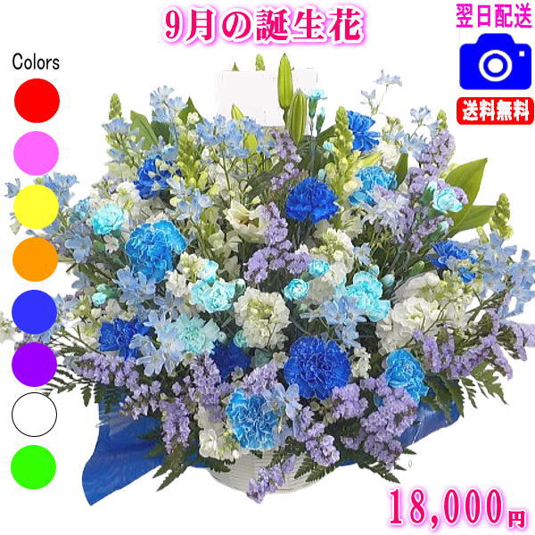 乐天商城 - 9月の誕生花【りんどう】デザイナーにおまかせフラワー★18,000円【送料無料】【フラワーアレンジ・花束】ネット特価！！【楽ギフ_包装】【楽ギフ_メッセ】【楽ギフ_メッセ入力】【あす楽対応】