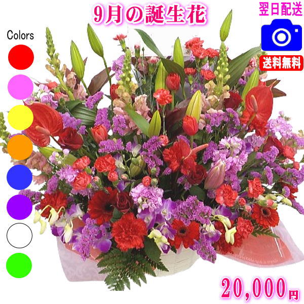 9月の誕生花【りんどう】デザイナーにおまかせフラワー★20,000円【送料無料】【フラワーアレンジ・花束】ネット特価！！【楽ギフ_包装】【楽ギフ_メッセ】【楽ギフ_メッセ入力】【あす楽対応】
