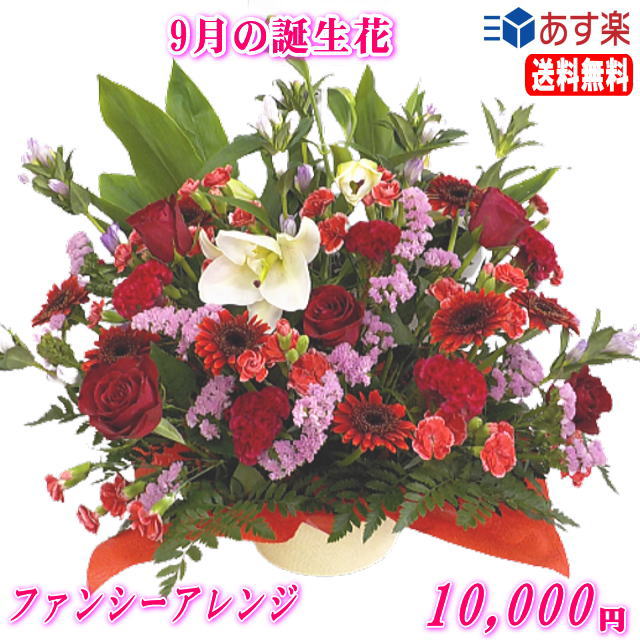 9月の誕生花★ファンシーアレンジ10,000円【送料無料】ネット特価！【楽ギフ_包装】【楽ギフ_メッセ】【..