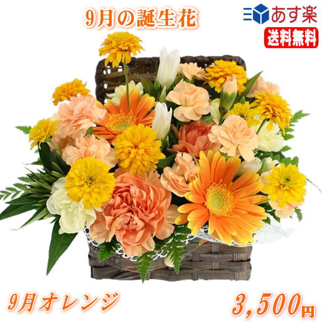 9月の誕生花★りんどうオレンジアレンジ3,500円【送料無料】ネット特価！【楽ギフ_包装】【楽ギフ_メッセ】【楽ギフ_…