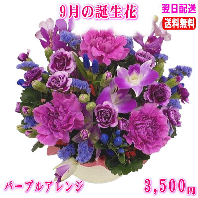 Celebration Of Birth - 9月の誕生花★りんどうパープルアレンジ3,500円【送料無料】ネット特価！【楽ギフ_包装】【楽ギフ_メッセ】【楽ギフ_メッセ入力】【あす楽対応】
