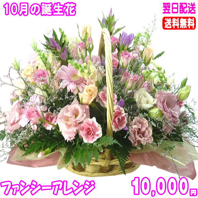 ギフト対応 ■PM3時までのご注文であす楽対応！■ ★バスケットに10月のお花ガーベラを入れたオシャレなアレンジです ■10月の誕生花の花言葉カードをお付けします ■メッセージカードをご希望の場合は【買い物かご】に記入欄がありますのでご記入ください 10月の誕生花は ガーベラ：前進・熱愛・希望etcです ■写真付きのメッセージカードを付けて贈ることが出来ます♪ 【300円追加】 ■ご希望の方はデータをこちらに送ってください order87@eehana.com　 【300円追加】 　　 ※追加の場合金額が表示されませんが受注後、金額を訂正してご案内いたします ■四つ葉のクローバーの押し花メッセージボトルにメッセージを入れて贈ることが出来ます お選びください【300円追加】 　　※追加の場合金額が表示されませんが受注後、金額を訂正してご案内いたします。 今だけ！！全国どこでも送料無料です ■サイズH40×W50（目安） ※写真は見本ですので花材等若干異なる場合があります 誕生月のお花はその月の旬なお花です 大切な人の誕生日やお祝い事に新鮮な季節のお花を贈りませんか 10月の誕生月のお花を添えてバースデープレゼントにどうぞ