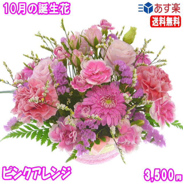 ガーベラ 10月の誕生花★ピンクアレンジ3,500円【送料無料】【ガーベラ】花言葉カード付き【写真付きメッセージ選択可】【あす楽対応】