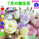 7月の誕生花 デザイナーにおまかせフラワー3,500円【送料無料】【フラワーアレンジ・花束】【写真付きカード選択可】ネット特価!【楽ギフ_包装】【楽ギフ_メッセ...
