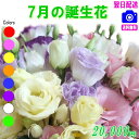 7月の誕生花 デザイナーにおまかせフラワー20,000円【送料無料】【フラワーアレンジ・花束】【写真付きカード選択可】ネット特価!【楽ギフ_包装】【楽ギフ_メッ...