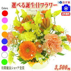 https://thumbnail.image.rakuten.co.jp/@0_mall/eehana/cabinet/ta1/ta1/ta-03r2bb35.jpg