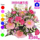 10月の誕生花【ガーベラ】デザイナーにおまかせフラワー★3,500円【送料無料】【フラワーアレンジ・花束】【写真付きカード選択可】ネット特価!!【あす楽対応】 10月の誕生花【ガーベラ】デザイナーにおまかせフラワー★3,500円【送料無料】【フラワーアレンジ・花束】【写真付きカード選択可】ネット特価!!【あす楽対応】