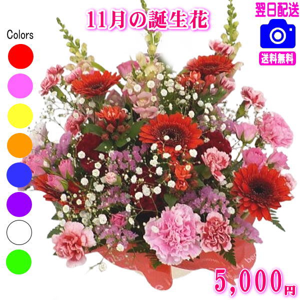 11月の誕生花【ブバリア】デザイナーにおまかせフラワー★5,000円【送料無料】【フラワーアレンジ・花束】【写真付きカード選択可】