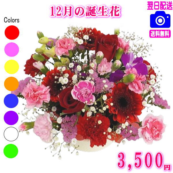 12月の誕生花【デンファレ】デザイナーにおまかせフラワー★3,500円【送料無料】【フラワーアレンジ・花束】【写真付きカード選択可】ネット特価！！【楽ギフ_包装】【楽ギフ_メッセ】【楽ギフ_メッセ入力】のサムネイル