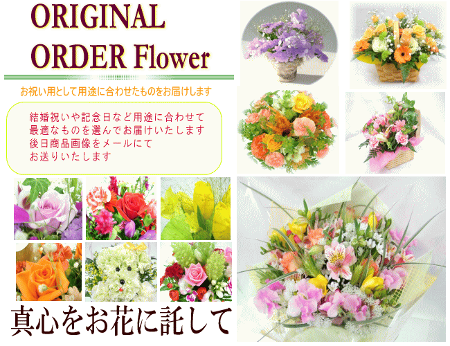 楽天市場 土日祝も営業 お祝い花専用フラワー3 500円 送料無料 あす楽対応 画像閲覧ok メッセージカード付き 楽ギフ メッセ 開店 退職 結婚祝い 新築 出産 フラワー 花 プレゼント あす楽 日曜営業 いいｈａｎａ倶楽部