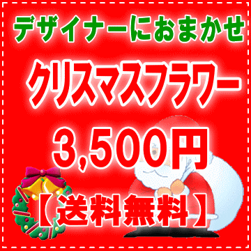 デザイナーにデザイナーにおまかせ★フラワー★★クリスマスのプレゼントに★X'masフラワー3,500円【送料無料】ネット特価！！