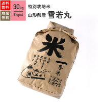 山形県産 雪若丸 特別栽培米 30kg(5kg×6袋）令和元年産米 お米 分つき米 玄米 送料無料