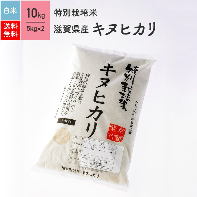 新米 特別栽培米 令和元年産 滋賀県産 キヌヒカリ 米 10kg 送料無料あす楽対応