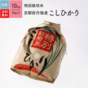 特別栽培米 令和5年産 京都府 丹後産 こしひかり 10kg (5kg×2) 白米 ※放射能検査 検出なし