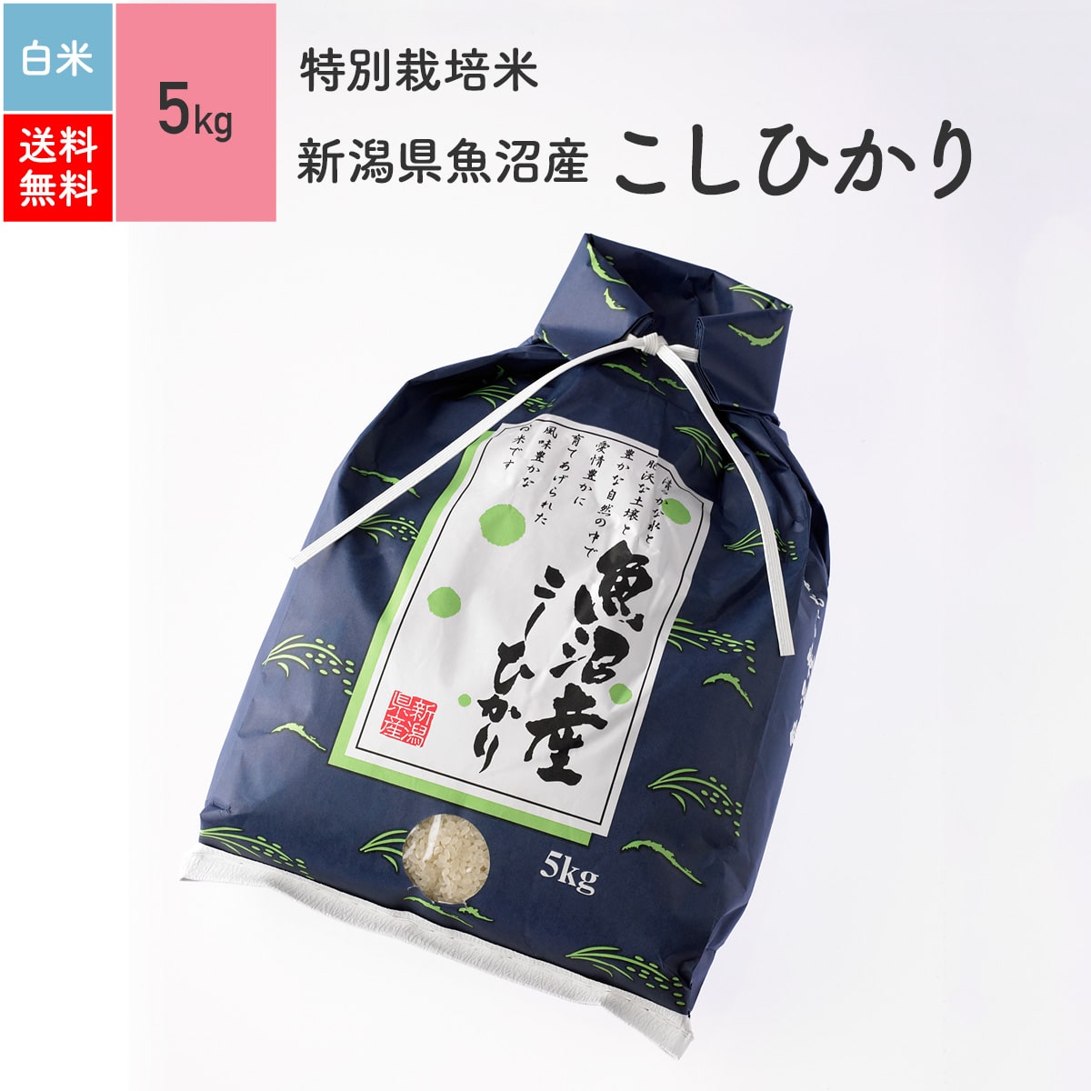 令和5年産【特別栽培米】魚沼産コ