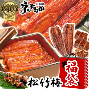 新春大SALE 福袋 食品 2024 海鮮 魚≪梅・竹・松≫ 送料無料 国産うなぎ蒲焼き 5枚～13枚セット オマケ付き あす楽 【静岡県産 AA 簡易箱】fukubukuro2020-05 [3～5人用]