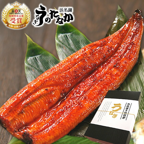 国産 うなぎ お祝い ギフト 誕生日 プレゼント 送料無料 鰻 蒲焼き ギフトセット 土用の丑の日 お中元 御中元 夏ギフト 90〜110g1本 1尾 【静岡県産 通常 AB 化粧箱】gift-6p [1〜2人前]のサムネイル