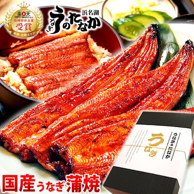 お祝い【送料無料】うなぎのたなか国産うなぎ蒲焼き誕生日プレゼントGIFTCset長蒲焼3本BOXAA