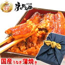 【300円クーポン】 送料無料 うなぎ 敬老の日 お中元 ギ...