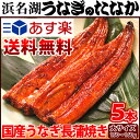 お中元ギフト送料無料!うなぎ長蒲焼き(150〜160g5本)...