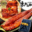 ＼春の限定クーポン！／ うなぎ 国産 蒲焼き プレゼント ギフト 内祝い 誕生日 食べ物 送料無料 鰻 真空パック お祝い 食品 人気 あす楽 母の日 早割 カーネーション造花付き 特大長蒲焼き1本 1尾 カット蒲焼き2枚 【静岡産 通常 AAA 風呂敷】FA [2～3人前]