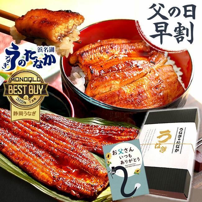 ＼早割5/22(水)まで！／ 父の日 早割 プレゼント うなぎ 国産 蒲焼き ギフト 食べ物 送料無料 鰻 真空パック 食品 グルメ 人気 クーポン 内祝い 誕生日 お祝い 母の日 あす楽 カーネーション造花付 90～110g2本 2尾 【静岡産 通常 AAA 化粧箱】gset [1～2人前]